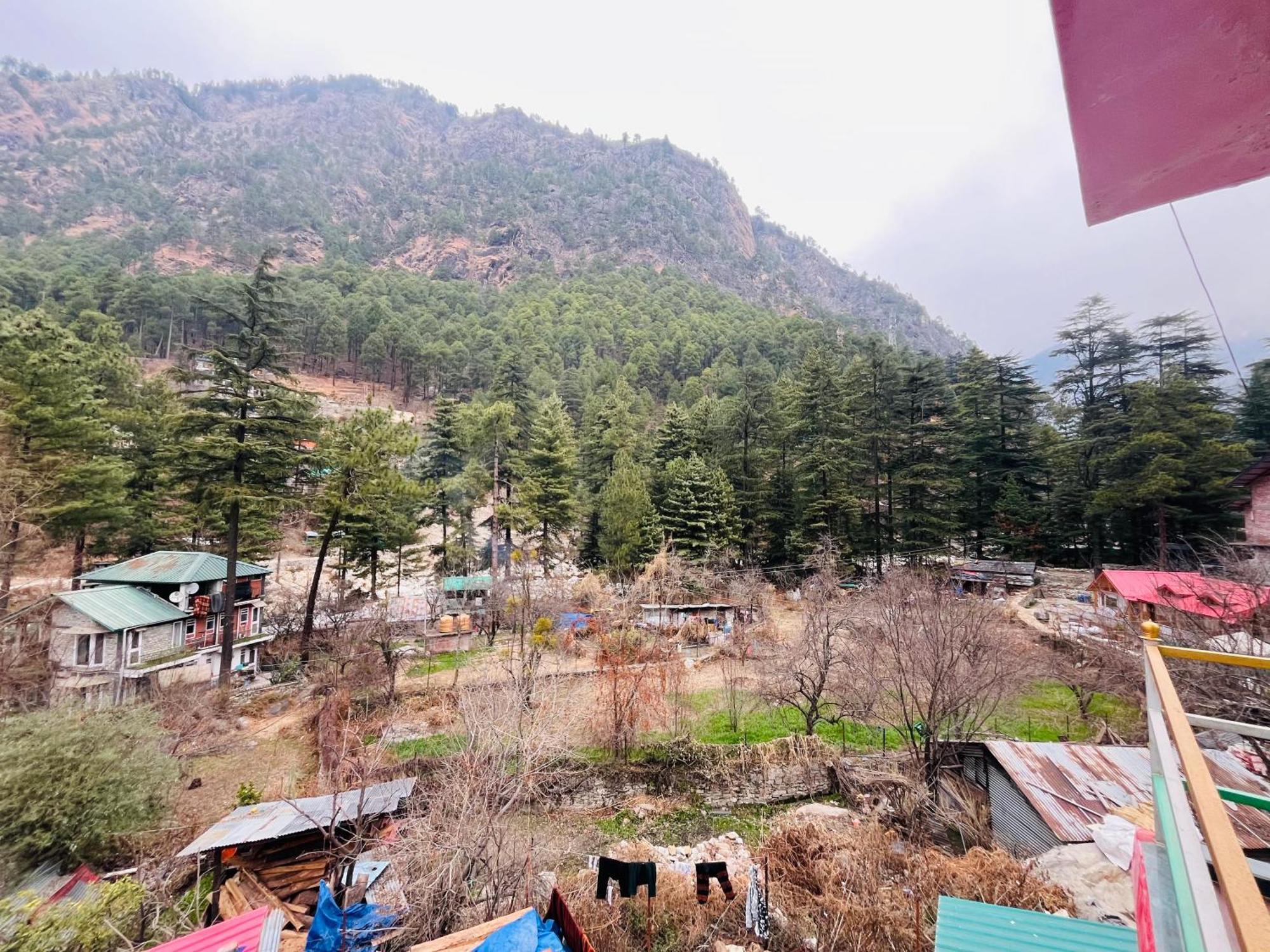Hotel Brownie River View Kasol Exteriér fotografie